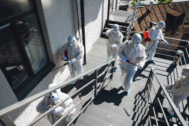 Best Industrial Mold Remediation  in Garden Grove, CA