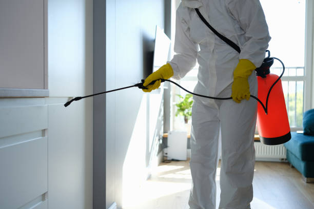 Best Commercial Mold Inspection  in Garden Grove, CA