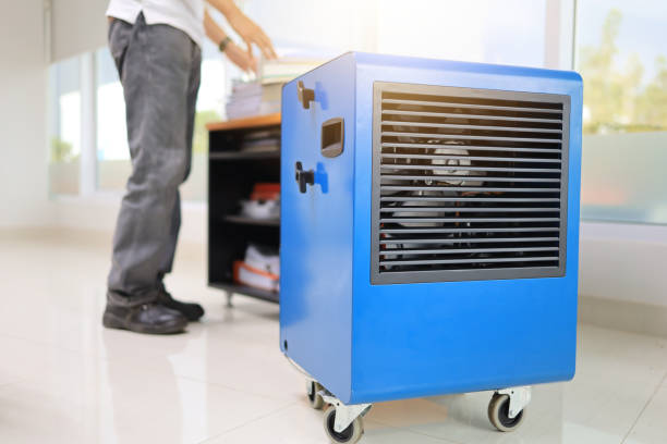 Best Forensic Mold Investigation  in Garden Grove, CA